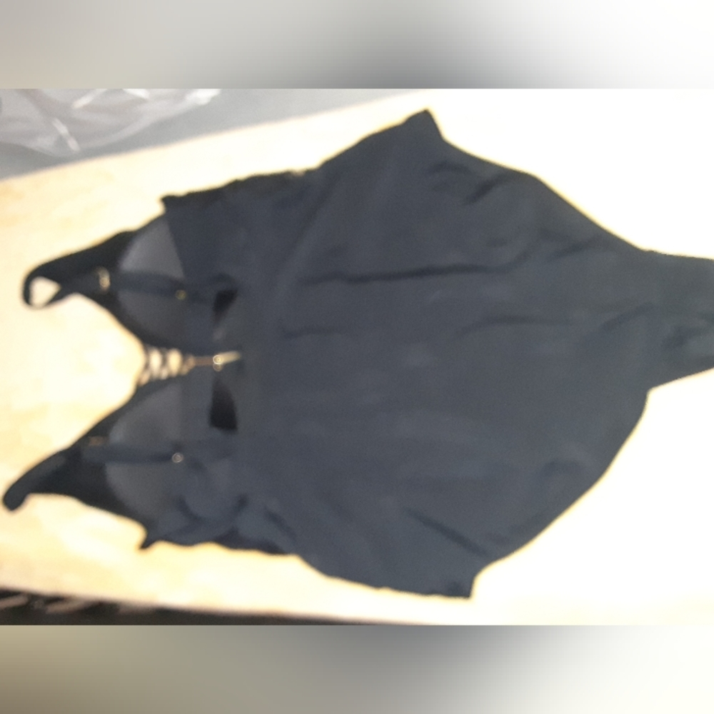 Womens plus size 2X, Terra Sky one piece swimsuit - Picture 2 of 3